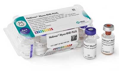 Het nieuwe vaccin Myxo-RHD PLUS